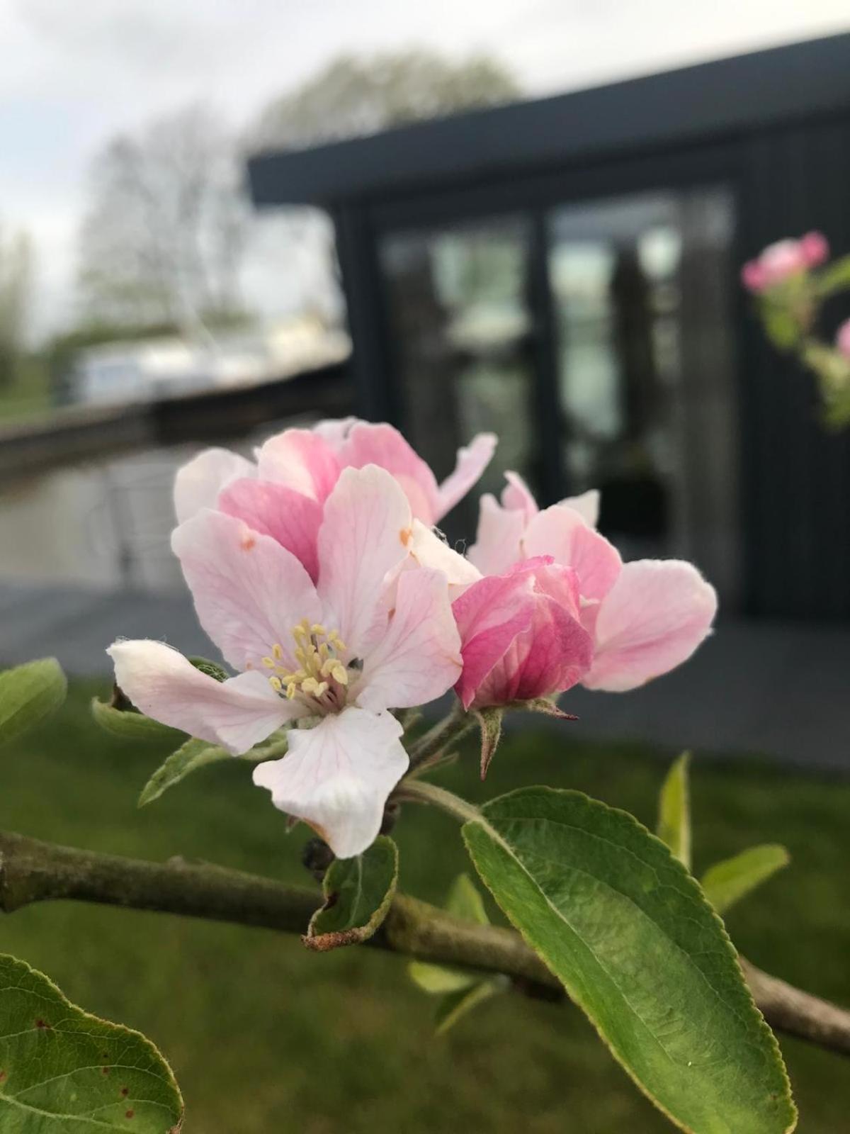 Uniek Overnachten In Een Tiny House Op De Appelhof Wommels Exterior foto