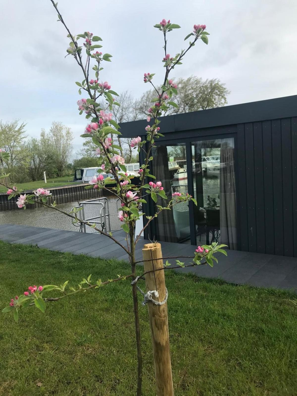 Uniek Overnachten In Een Tiny House Op De Appelhof Wommels Exterior foto